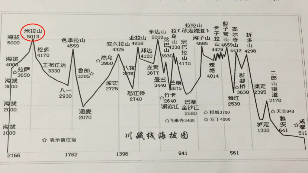 魏牌：产品叫好声一片，但为何销量还是受挫