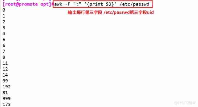 Shell Programming regular expression and text processor _ Field _59