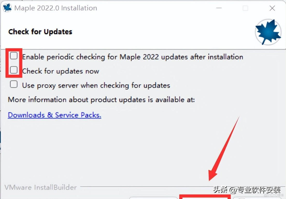 Maple 2022软件安装包下载及安装教程_Maple 2022_10