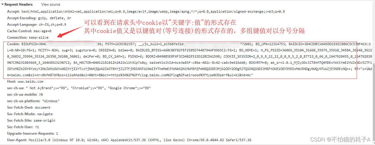 Selenium: Manipulating Cookies