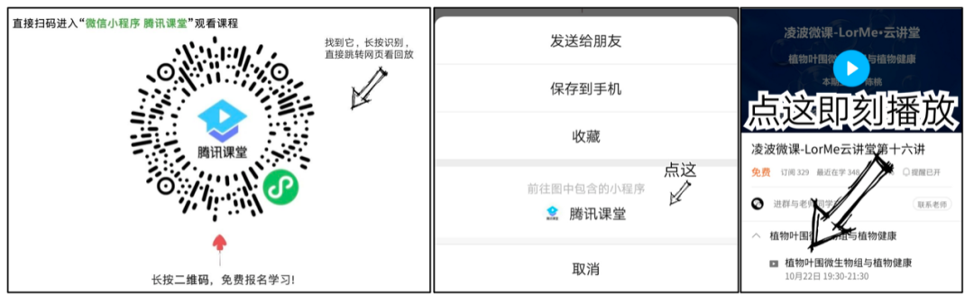 王守创：多组学整合分析揭示植物代谢多样性的分子机制(8月2号晚)