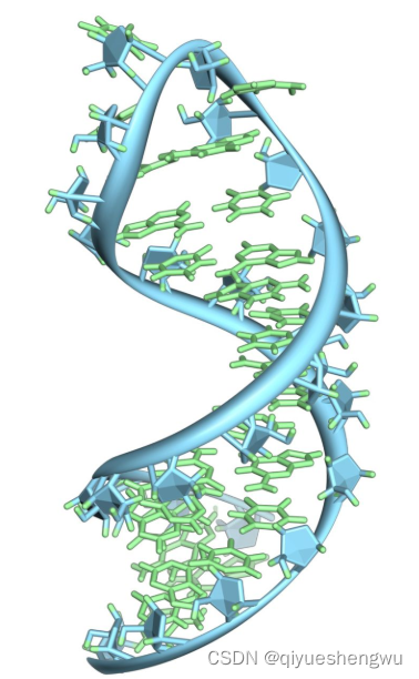 tRNA甲基化偶联3-甲基胞嘧啶(m3C)|tRNA-m3C (3-methylcy- tidine)