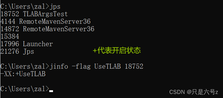 JVM对象分配策略TLAB