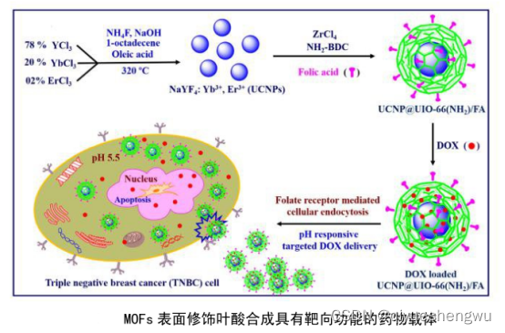 Doxorubicin loaded on metal organic framework MIL-88 DOX | folic acid modified uio-66-nh2 doxorubicin loaded <span class=