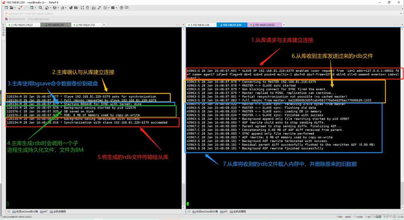 Redis Master slave replication cluster and recovery of abnormal data loss #yyds Dry inventory #_ data _03