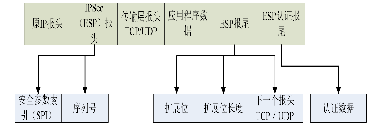 Final review of information and network security (full version)