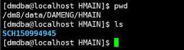 Tips for using dm8huge table