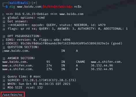 Rce code and Command Execution Vulnerability