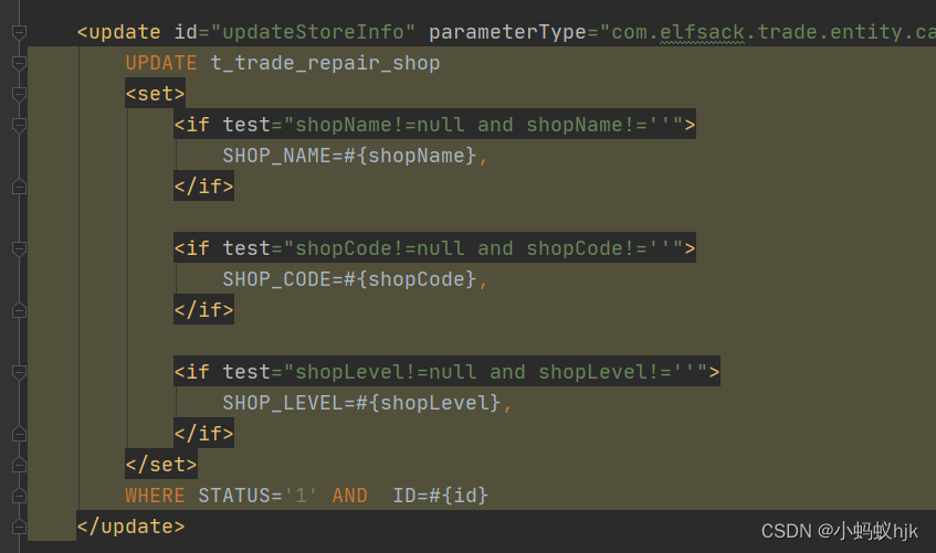 Use of set tag in SQL