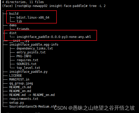 Face recognition 5- insight face padding code practice notes