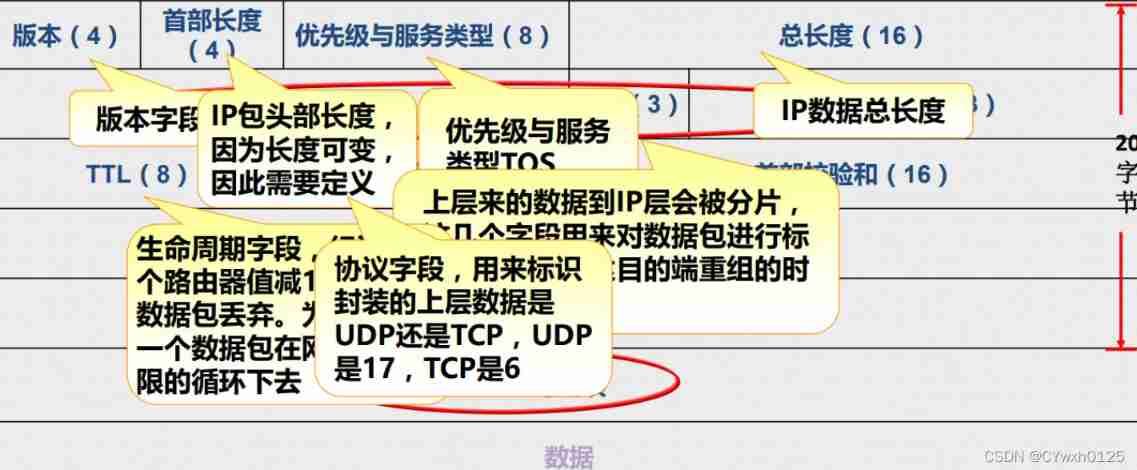 IP packet header analysis and static routing