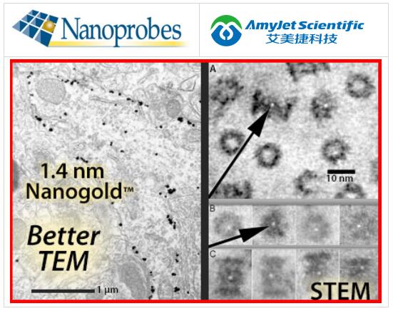 Nanoprobes 金纳米颗粒标记试剂丨1.4 nm Nanogold 标记试剂