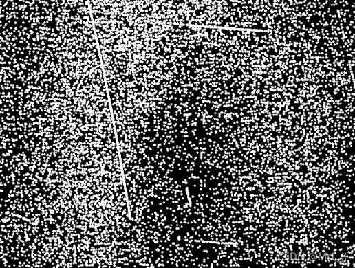 Defect detection - Halcon surface scratch detection