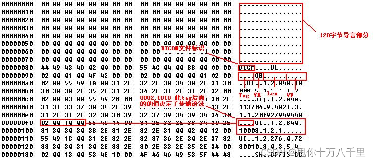 Determine whether the file is a DICOM file