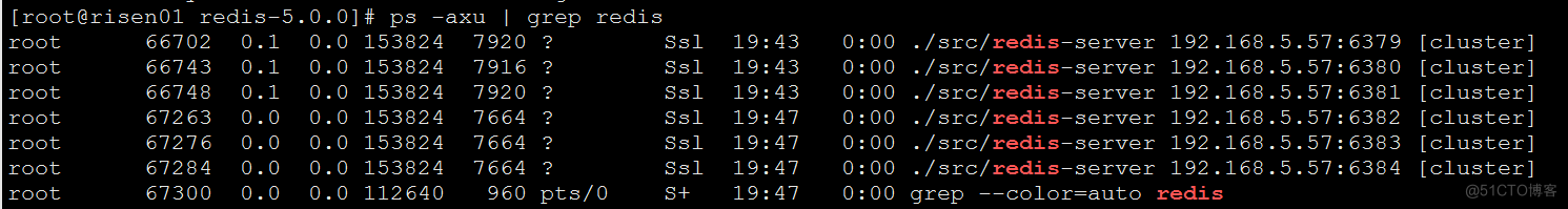 Redis cluster installation