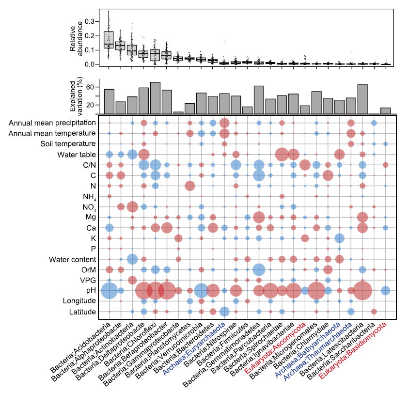 NC | Structure and function of soil microbiome reveal N2O release from global wetlands