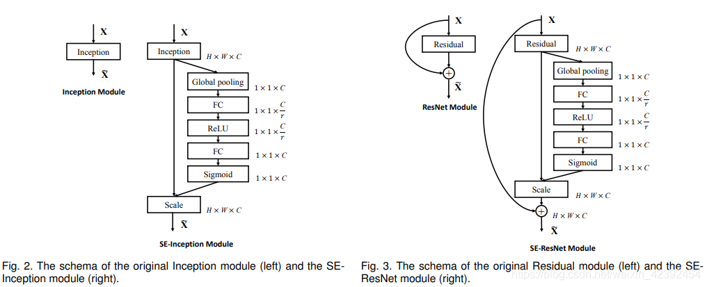 SE network