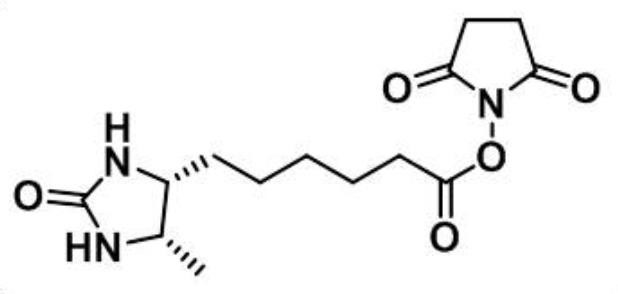 CAS :80750-24-9(脱硫生物素 NHS 酯)