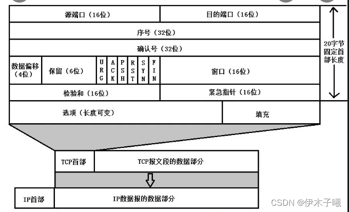 TCP 和UDP 的详细介绍