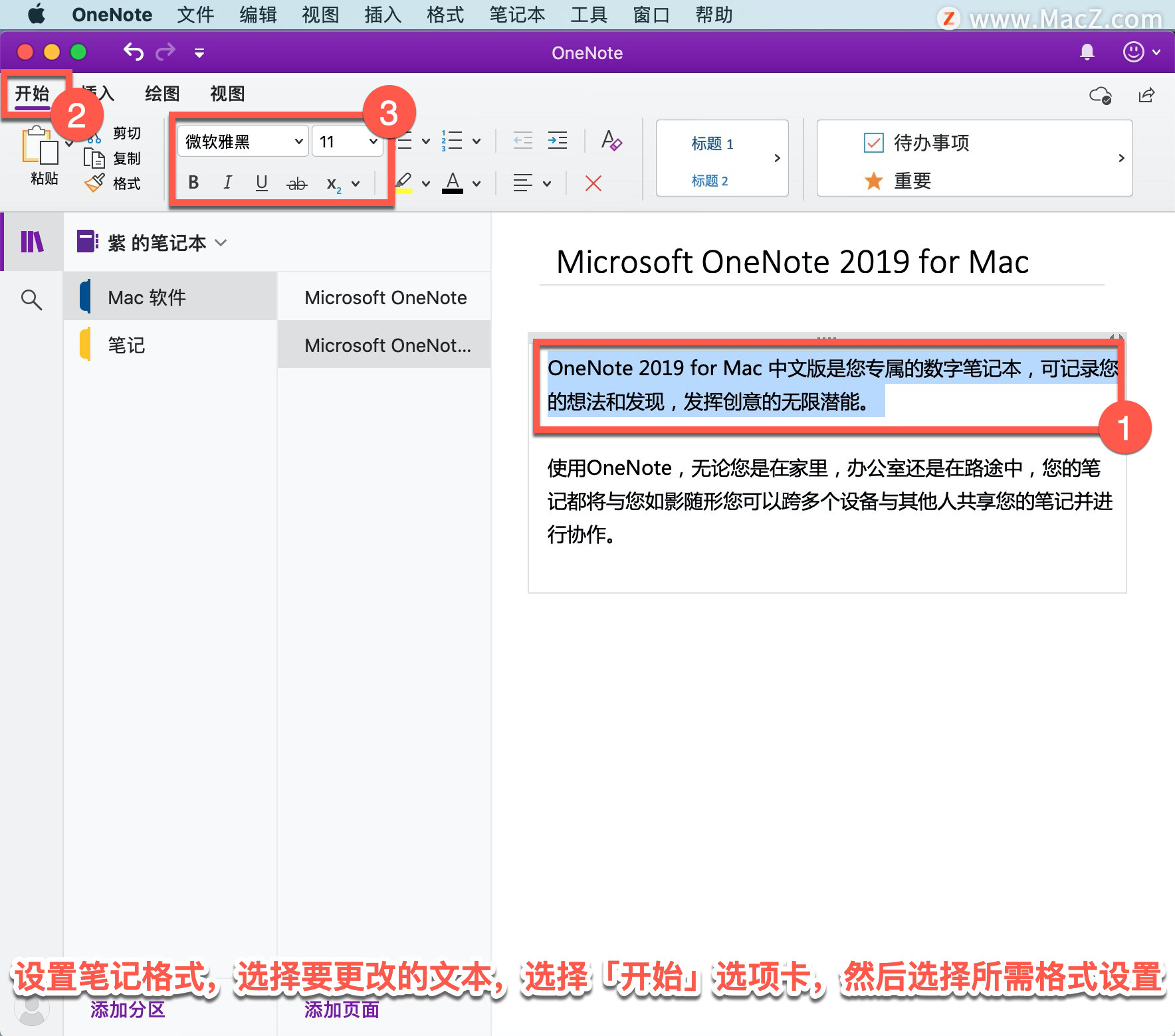 OneNote 教程，如何在 OneNote 中设置笔记格式？