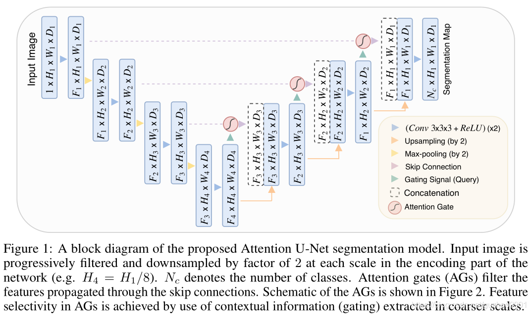 [medical segmentation] attention Unet