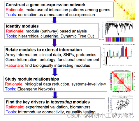 WGCNA analysis basic tutorial summary