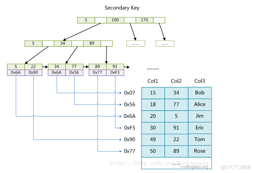 索引(三)_mysql_05