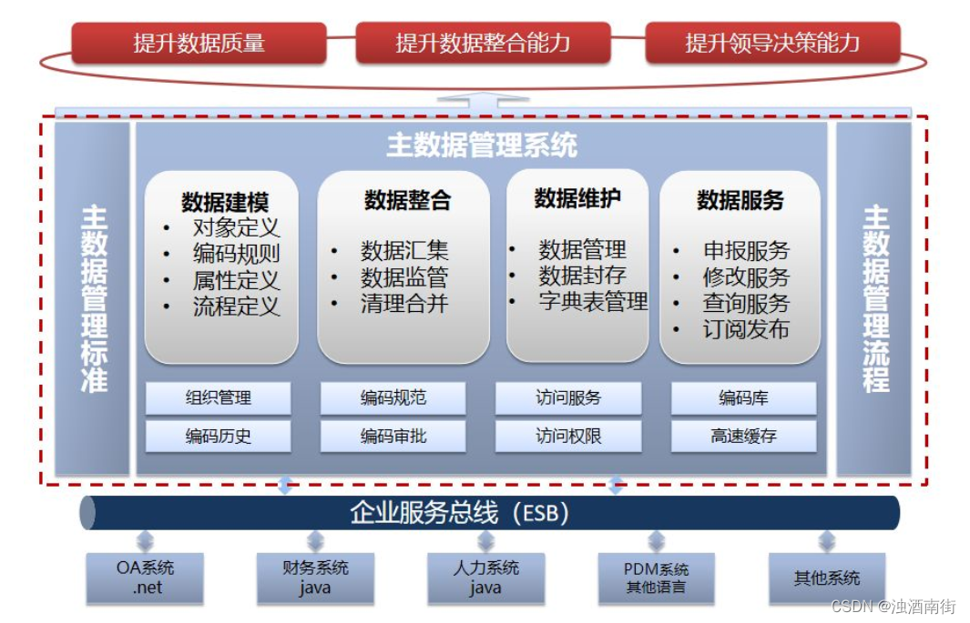 主数据管理理论与实践